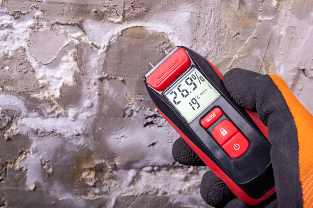 Best Mold Inspection  in Wilmerding, PA